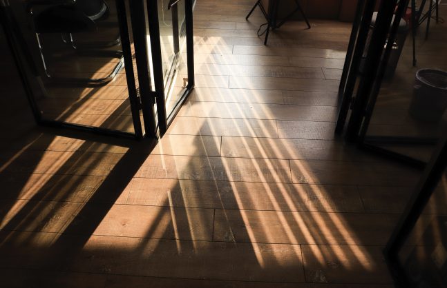 william-zhao-bjKNo2O7sAo-unsplash